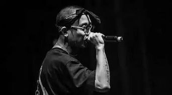 GAI歌手第五期荣登榜首，音乐之路的辉煌瞬间