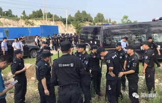 警方认定罗帅宇跳楼自杀身亡